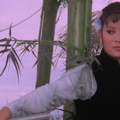血芙蓉 - 6r6D0yN6YxRyd8NFskrIzBqHnyC.jpg