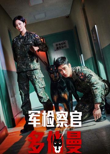 军检察官多伯曼犬