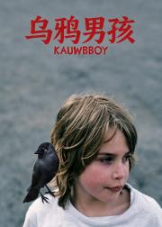 乌鸦男孩