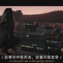 修复 - p1744494931490967197.jpg
