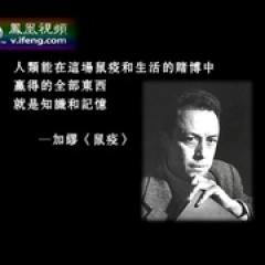非典十年祭 - p1642696974737585943.jpg