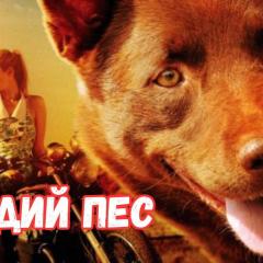 红犬历险记 - wzHZh6f5yvgj1yFditbsKr7qSaN.jpg