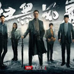 扫黑风暴 - gXIDg3pYN45jtvOQSx3OMEFuPJ5.jpg