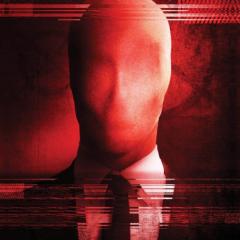保持关注：大理石黄蜂的故事 - m5hfYN8M4ZAWdpOznk1cqBjfvUz.jpg