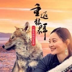 重返狼群——10周年纪念版 - p1770686029864947892.jpg