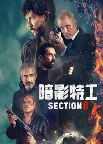 暗影特工
