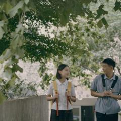 蜂鸟 - cxSy2oOGLCVPMt5duDPq9Z9jZDV.jpg