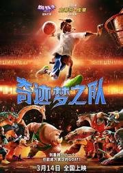 奇迹梦之队