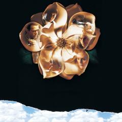 木兰花 - z6L2ZDAeJxPCSQm3BOAqpM5r3JN.jpg