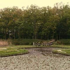 零 - ocU05jpwBbE74SzfIOJNRxQjrDa.jpg