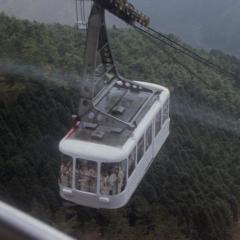 复仇在我 - aOf5jlcp4nCYXwEVgn82YNIs3ZP.jpg
