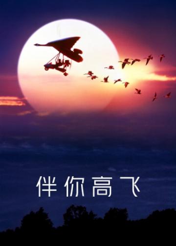 伴你高飞