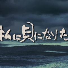 我想成为贝壳 - oags7FIZshYY6eujqOSSO9wdRFJ.jpg
