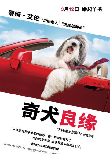 长毛狗