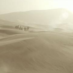 沙漠女王 - 8amUDHrrOtBPvAakyqdyz6z5das.jpg