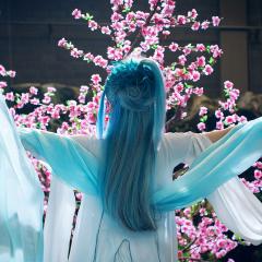 白狐 - dOdP0mZH4Zf0s6qjZfKoxnz3DGw.jpg