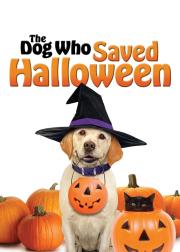 The Dog Who Saved Halloween