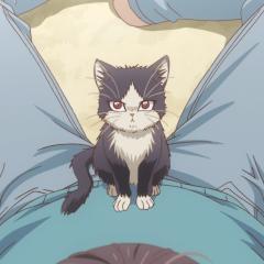 同居人是猫 - aawY7rO6HmTGPaDG2L2vYs3qHGz.jpg