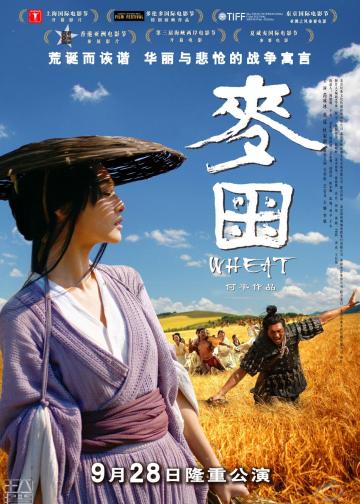 麦田