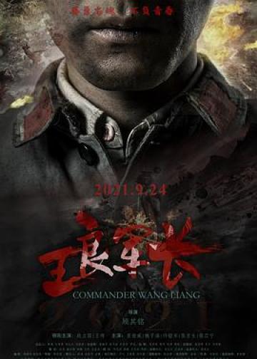 王良军长