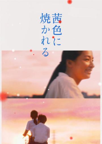 茜色如烧