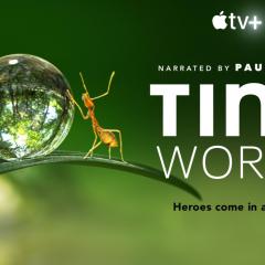 Tiny World - k83AmGMLiRwnRVagqzfl2Ofb6ro.jpg
