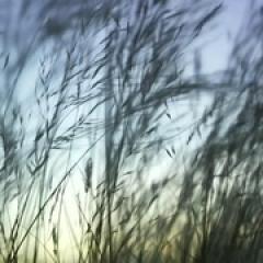 种出个地球 - p1642620279694571364.jpg