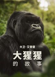 大卫·艾登堡：大猩猩的故事