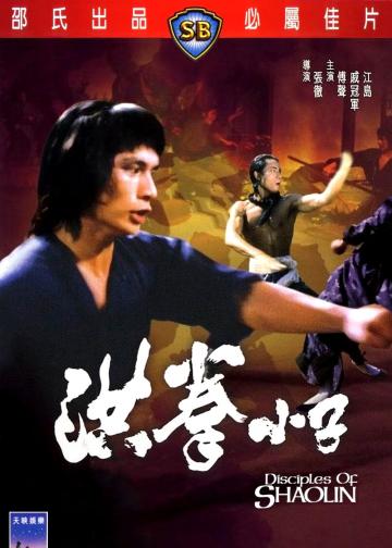 洪拳小子