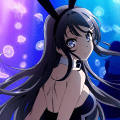 青春猪头少年不会梦到兔女郎学姐 - dRGtv7BLMe00RAxtLkaWjcbzsTA.jpg