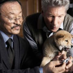忠犬八公的故事 - x8JRhQnQpanaSjQK3UaHDUKE29m.jpg