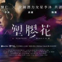 塑胶花 - imqpWjZJdlmLCsNw55aSUSSzBE9.jpg