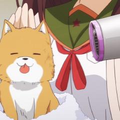 学园孤岛 - jKxCeWlSrVJ7c7yco4mDiX10P8e.jpg