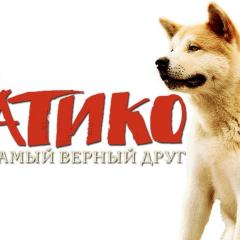 忠犬八公的故事 - ylrxZ0rTV25OxDLtGPQQiL3KK0Z.jpg