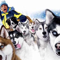 雪地狂奔 - 305buyfObDvVCfgCsZjLMFu9KYp.jpg