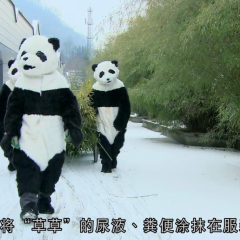 熊猫淘淘 - 2ddd45674842a8e0.png
