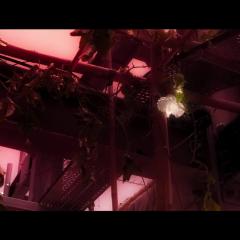 命案 - wN8ZnuTMtvSFXxThzOlHhf5AX5M.jpg