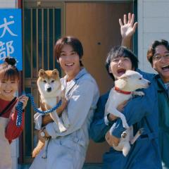 犬部！ - nvOrS60C5x3pL4aAY5hlT7S6jY7.jpg