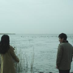 山鹰之歌 - dZy1IUsl4DPJaQWPZ61sC1KEZQO.jpg
