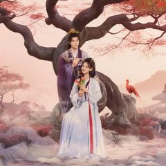 云秀行 - dStkVJ2dQPe2Ak9X4McM1606vNn.jpg