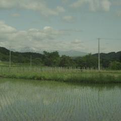小森林：冬春篇 - eWCn3uOeoILHlk81i8sGhRl0BpS.jpg