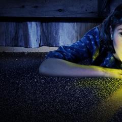 Don't Look Under the Bed - jkPdLOwUn7VQlwkCQqYFjNI8j43.jpg