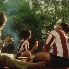 夏日的庭院 - 6TWNDW9GlqbG8OiqF1La0Fywm7U.jpg