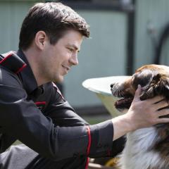 义犬救主 - 4IlL2MybO3DAMfC0Nq89EGhUeld.jpg