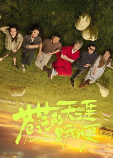 苍茫的天涯是我的爱