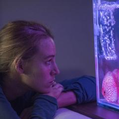 我所看到的都是你 - 8EwKWv40EA4RCWwMiVTpGuuzMD4.jpg
