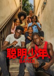聪明少年