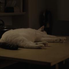 夜以继日 - g5oI6vXp1mS9og5k7Im5FqRjhuF.jpg