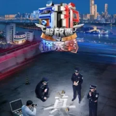 守护解放西·探案季 - p177840913442751494.webp