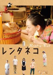 租赁猫